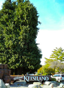 The start of the Kitsilano tree walk