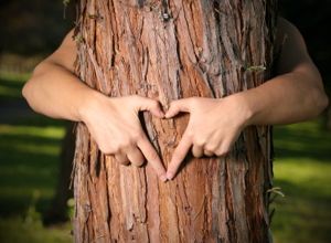 Loving trees in Kitsilano